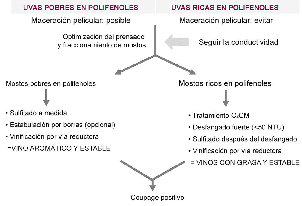 Figura 5: Esquema de síntesi de l'estratègia de gestió de l'extracció de mosts (Font: Vivelys)