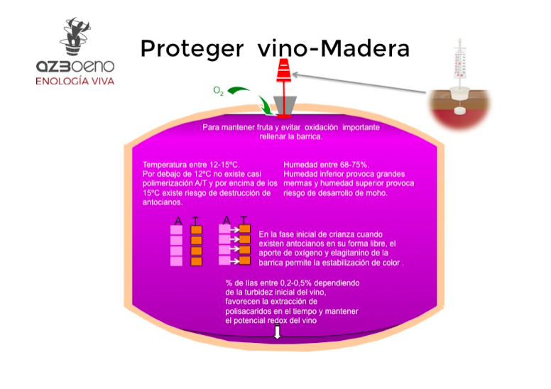Protegir el vi - fusta
