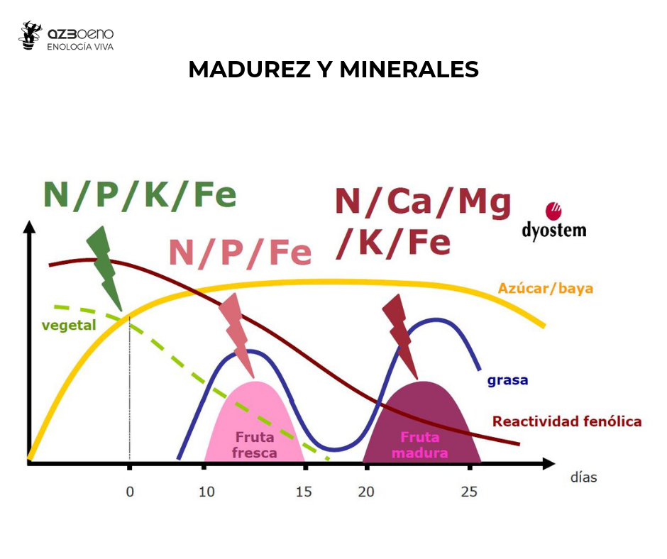 Maduresa i minerals