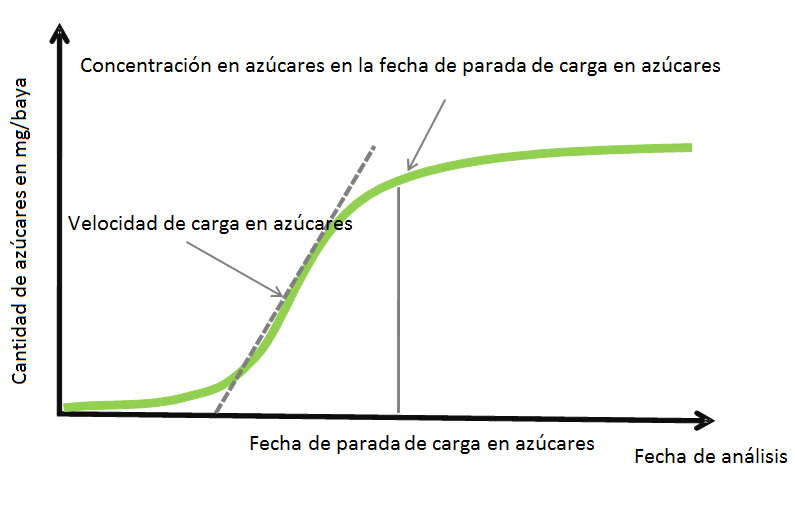 Quantitat de sucres en mg/baia