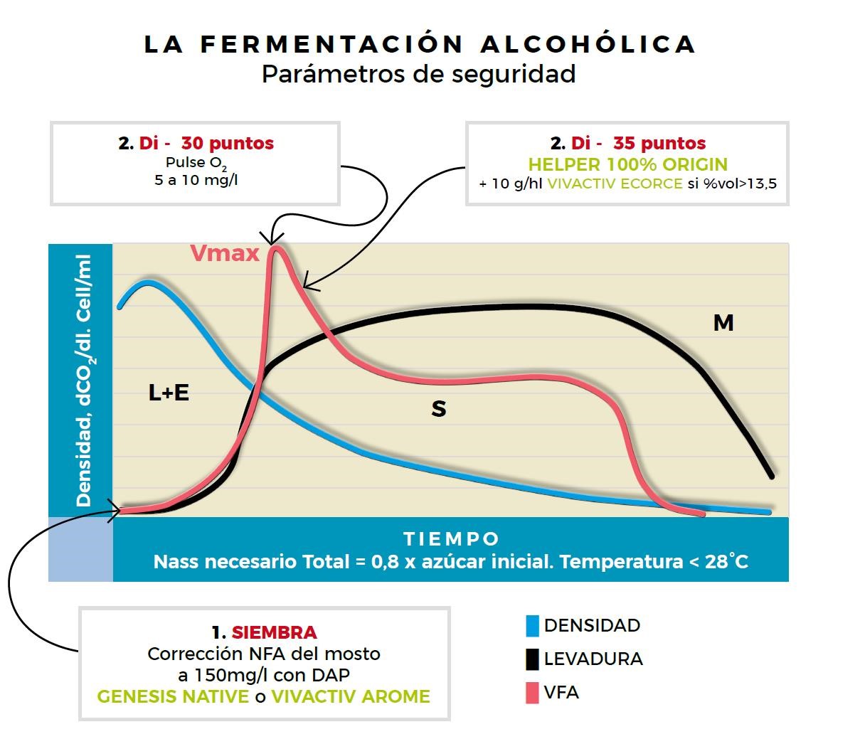 La fermentació alcohòlica