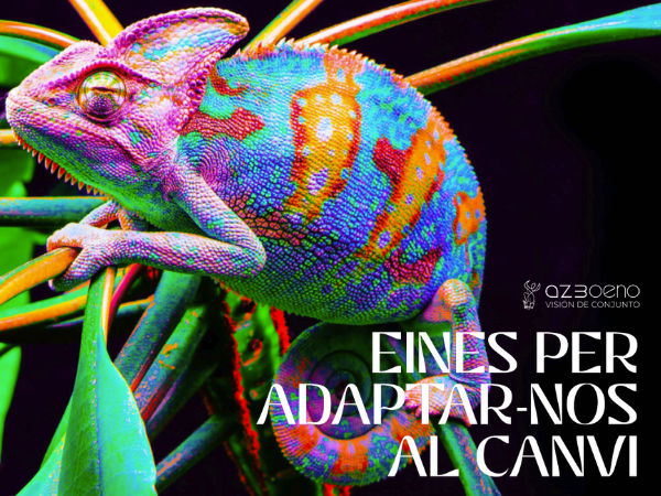 Eines per adaptar-nos al canvi
