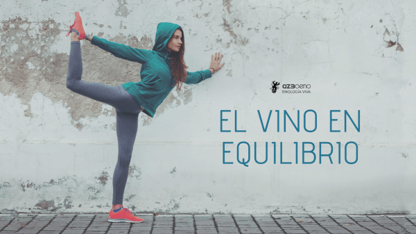 EL VI EN EQUILIBRI