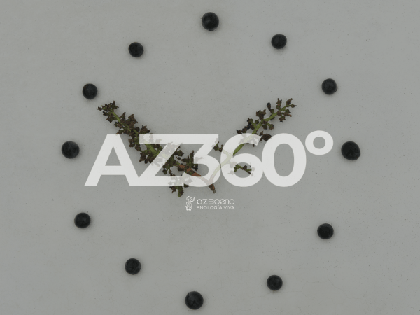 az360