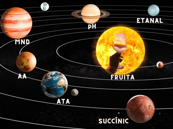 Explorant la diversitat del vi: més enllà de la fruita