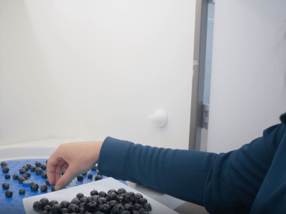 Formació maduració