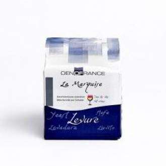 LA MARQUISE